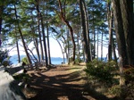 gabriola acreage